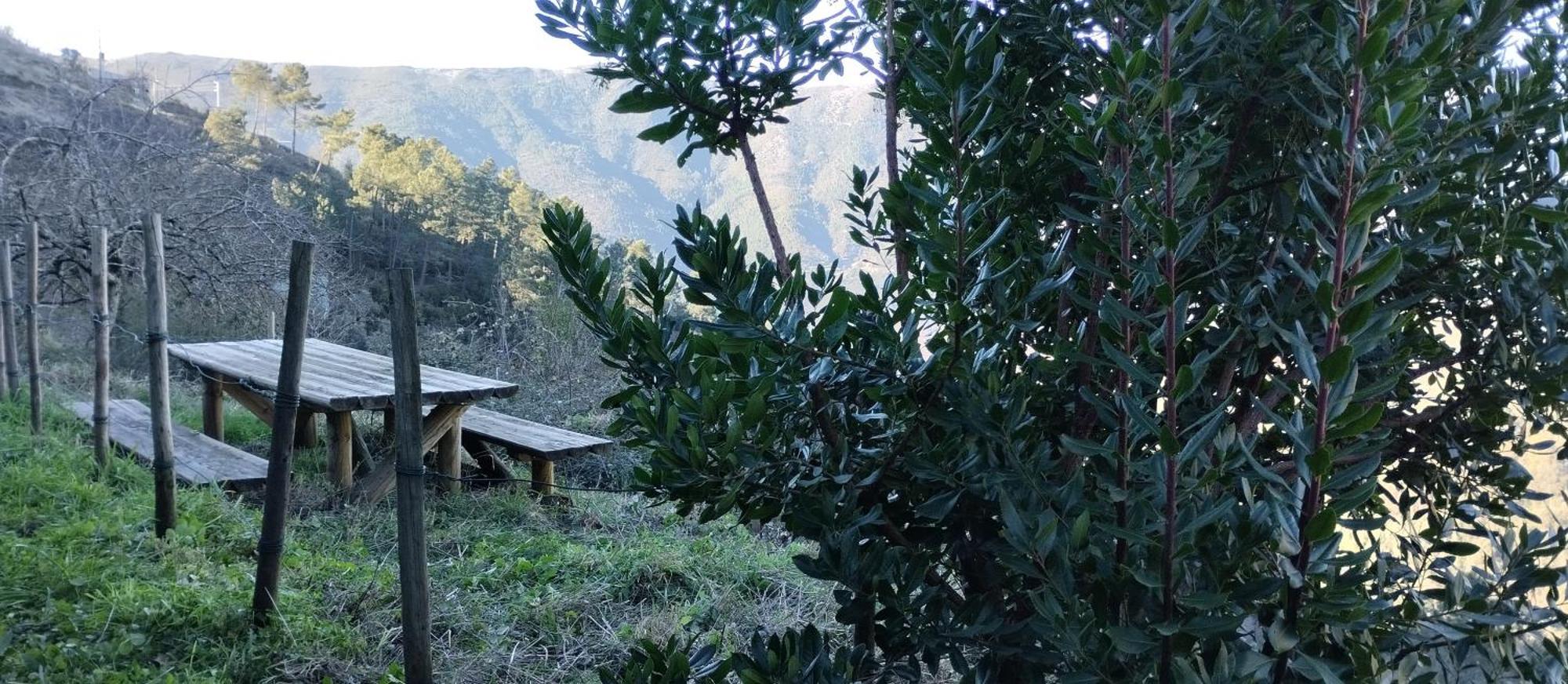 Casa Da Quelha Guest House Chas de Egua Bagian luar foto